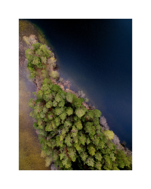 Above Lithuanian woods