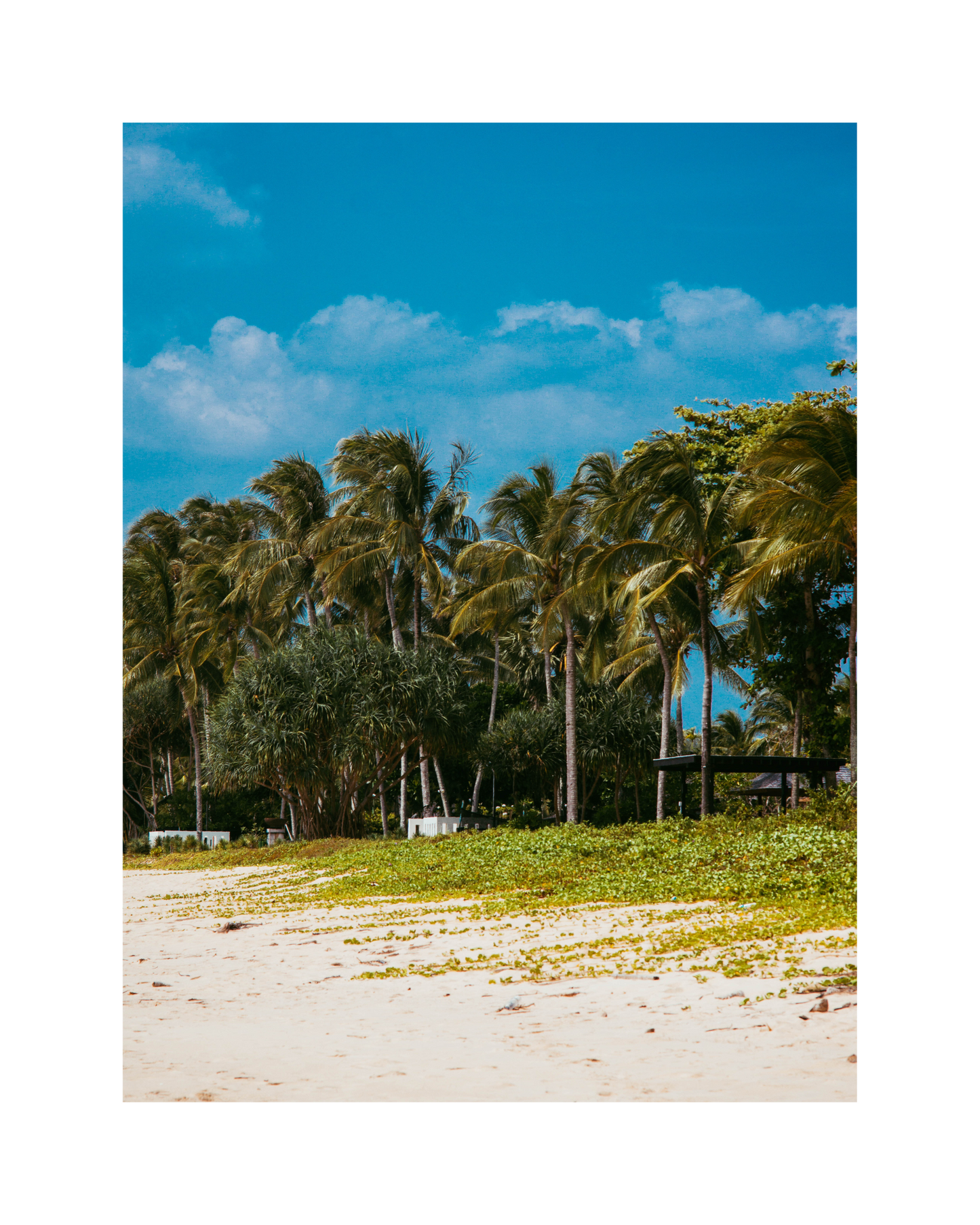 Wild beach in Thailand